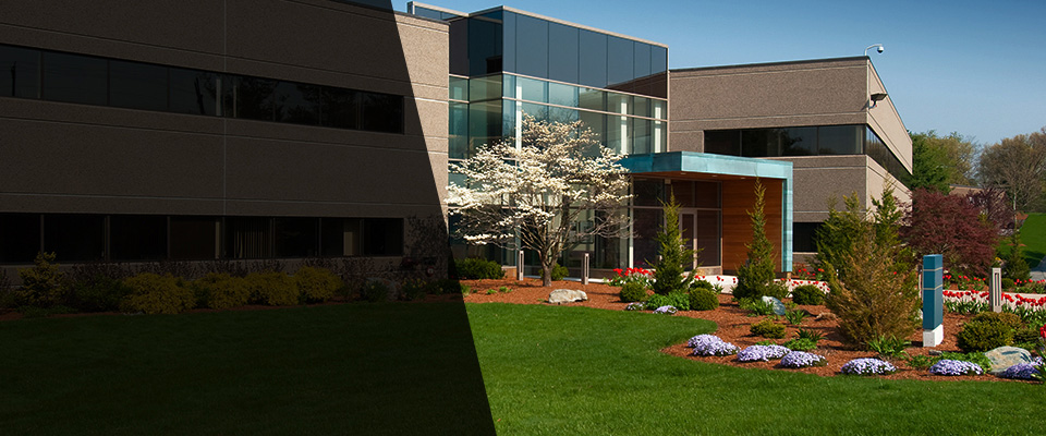 Pagosa Springs Landscapers