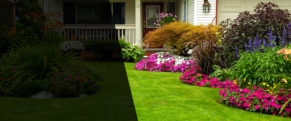Pagosa Springs Landscapers