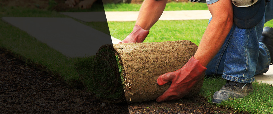 Pagosa Springs Landscapers